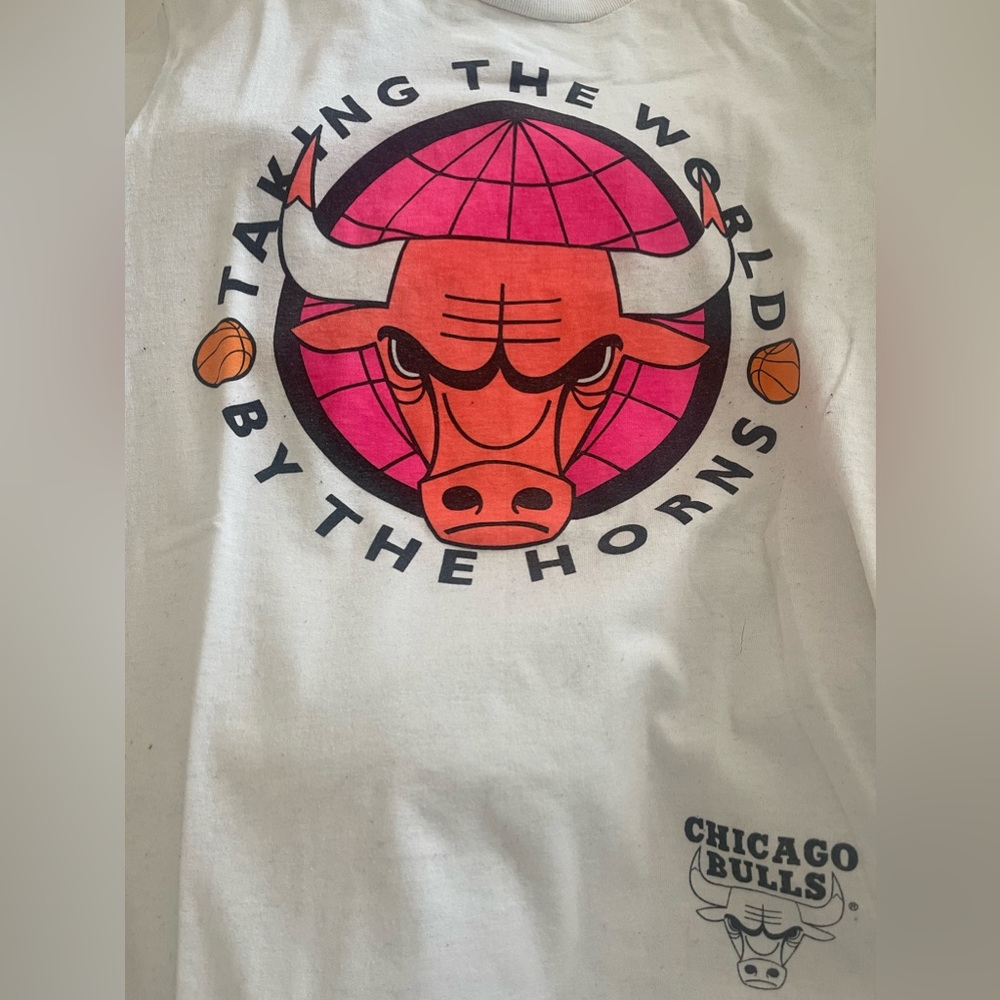 Rare Vintage Chicago Bulls Taking The World By The Horns Jordan Nba 90s